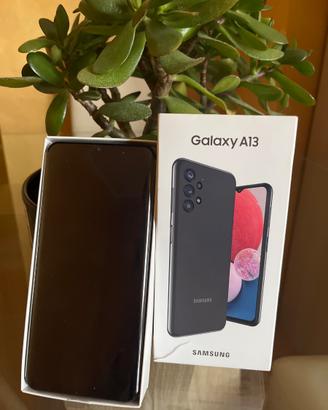 cellulare Galaxy A13
