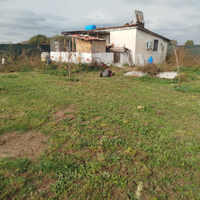 Terreno con annessi Nepi