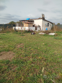 Terreno con annessi Nepi