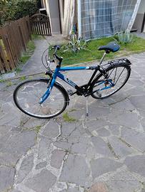 Bici uomo 28 Regina in alluminio