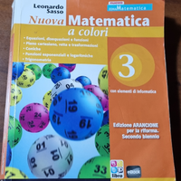 Nuova Matematica a colori 3