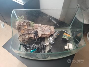 tartarughiera, lampada uvb+uva e termometro