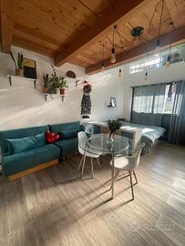 Monolocale con giardino Lambrate