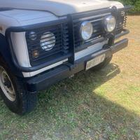 Para mucche completo di fari antinebbia per defend