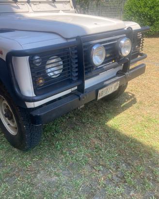 Para mucche completo di fari antinebbia per defend