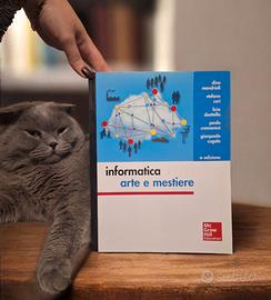 libro universitario informatica arte e mestiere
