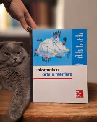 libro universitario informatica arte e mestiere
