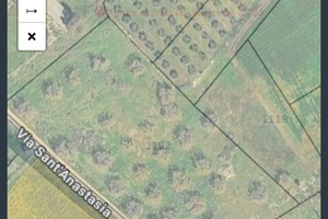 Terreno 1 ettaro via specchia Copertino