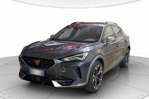CUPRA Formentor 2.0 TDI 150cv 4drive DSG