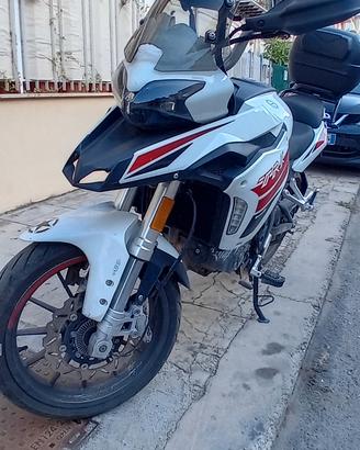  benelli trk 251