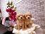 Immagine 24