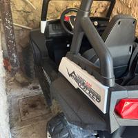 Macchina Bambini Polar 24V