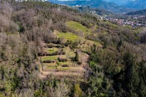 Terreno edificabile a Beverino