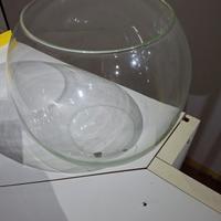 vasca per pesci (boccia)