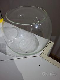 vasca per pesci (boccia)