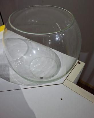 vasca per pesci (boccia)