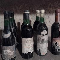 Collezione di antiche bottiglie di vino 
