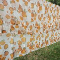 tenda vintage anni '70