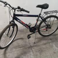 Bici mountain bike