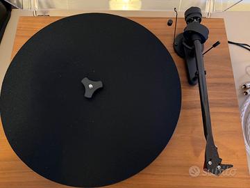 PRO-JECT DEBUT CARBON EVO GIRADISCHI NOCE