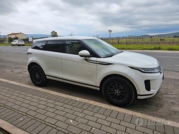 evoque ibrida  2.0D I4 163 CV AWD Auto 