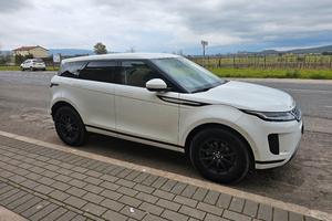 evoque ibrida  2.0D I4 163 CV AWD Auto 