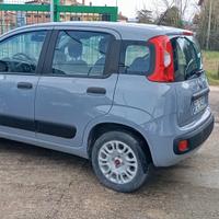 Fiat Panda 1.2 Pop