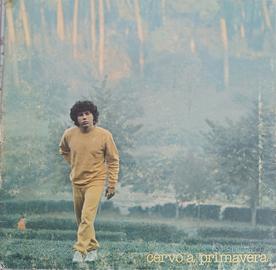 LP Riccardo Cocciante Cervo a Primavera 1980