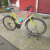 mtb sport da 26 pronta