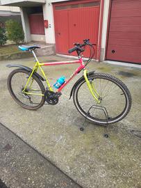 mtb sport da 26 pronta