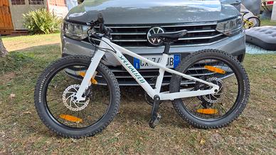 Bici Bambino 20 Pollici  - Specialized Riprock 20