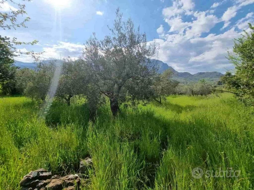 Rustico / Casale di 120 m² con 1 locale e box auto - Altro