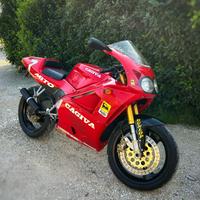 Cagiva mito eddie lawson