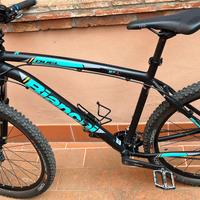 Bici da trekking