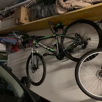 Bici mountain bike
