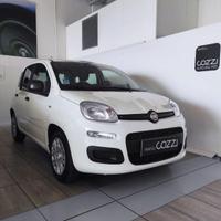 FIAT Panda 3ª serie - Panda 1.0 FireFly S&S Hybrid