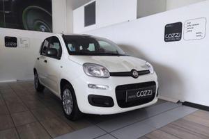 FIAT Panda 3ª serie - Panda 1.0 FireFly S&S Hybrid