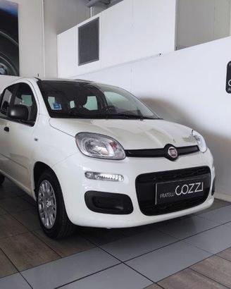 FIAT Panda 3ª serie - Panda 1.0 FireFly S&S Hybrid