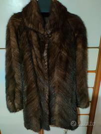 pelliccia visone maschio 