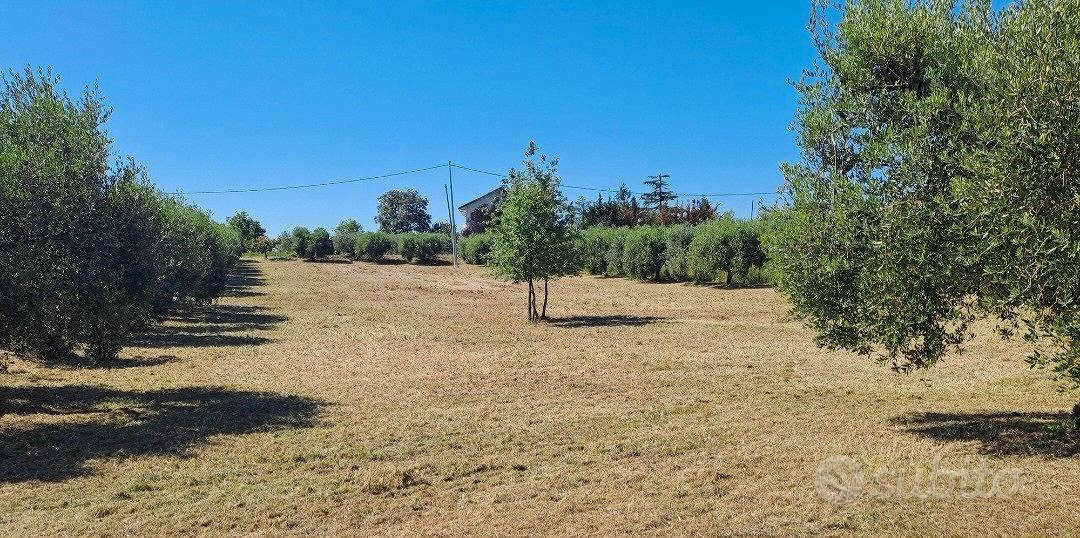 Terreno Agricolo 4.000 MQ - Vista 3