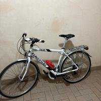 Bicicletta Torpado T435