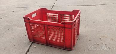 CASSETTA RACCOLTA FRUTTA