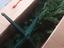 Immagine 3