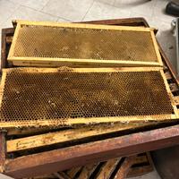 Materiale per apicoltori