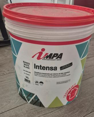 Idropittura traspirante IMPA