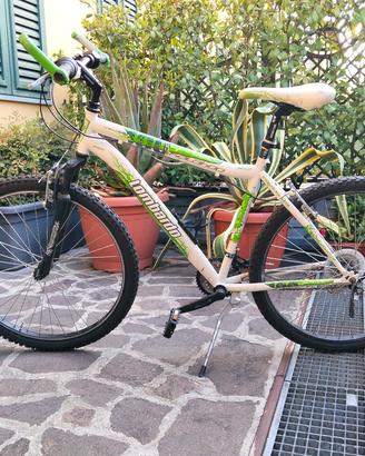 Mountain bike 