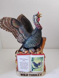wild Turkey 
