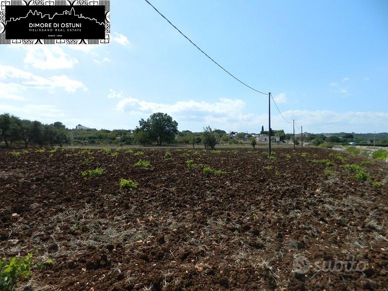 TERRENO FRONTE STRADA 5000mq in VALLE D'ITRIA - Vista 5