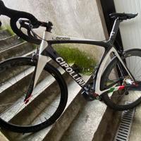 Cipollini Logos carbonio tg 55