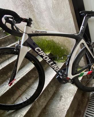 Cipollini Logos carbonio tg 55